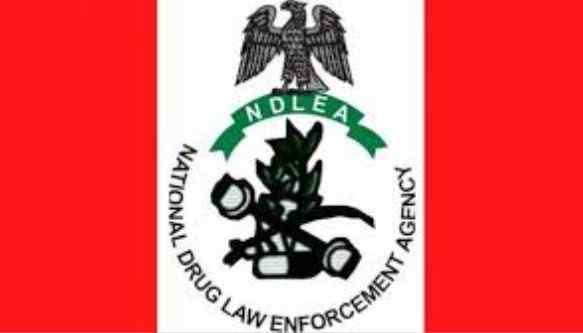 The Establishment of NDLEA: An Important Step in Nigeria's Fight Against Hard Drugs