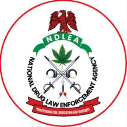 The Meaning of NDLEA and Its Key Functions in Combating Drug Trafficking and Abuse