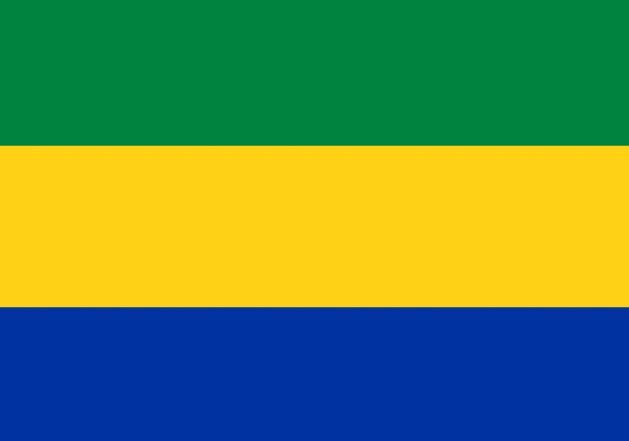 Complete List Of Gabon Presidents From 1960 Till Date